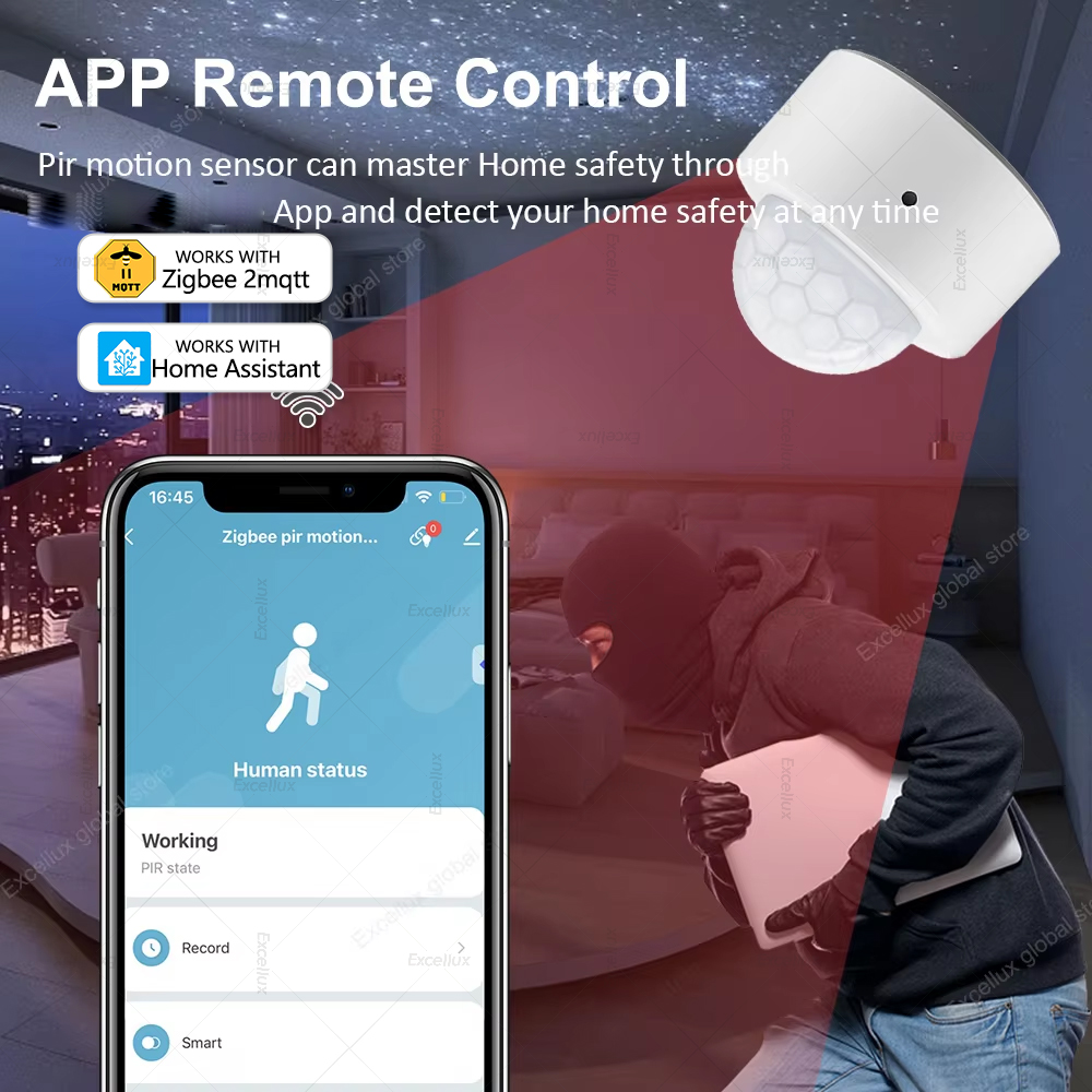 ZigBee PIR Motion Sensor Mini  - Home Security Alarm recension och pris