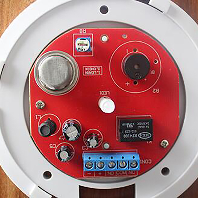 12V Portable Combustible Gas L - Home Security Alarm recension och pris