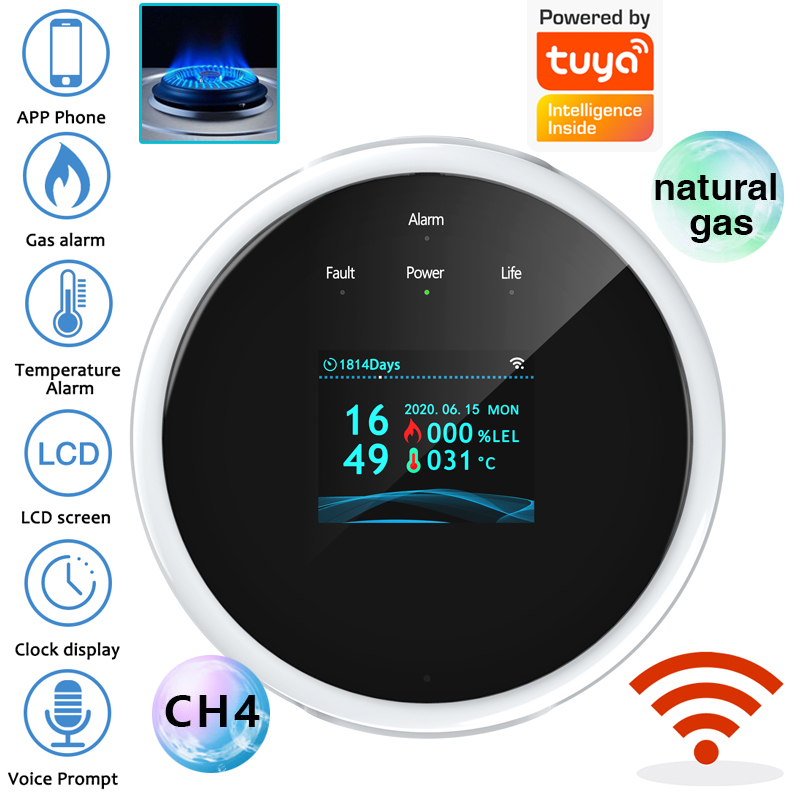 2.4G WiFi Gas Alarm Sensor Com - Home Security Gadgets recension och pris